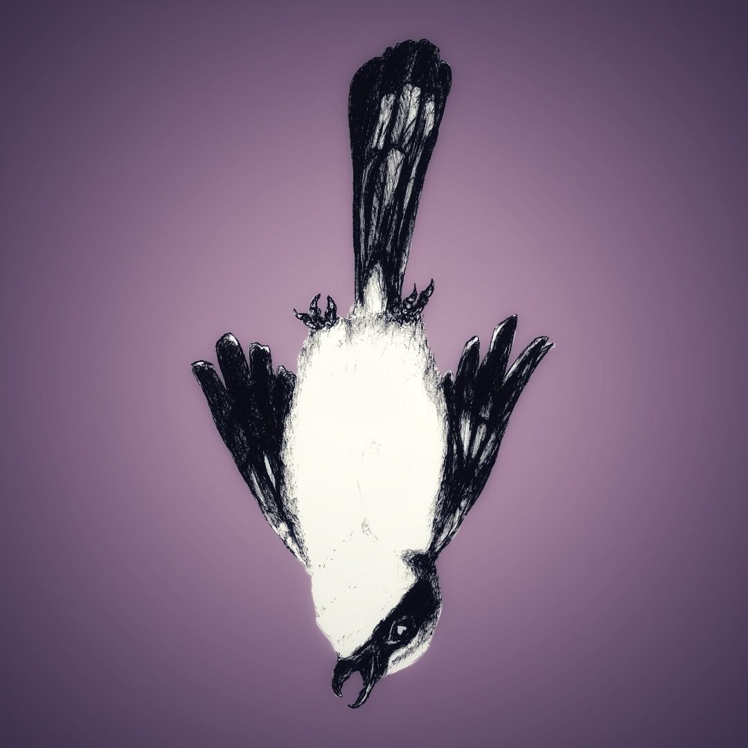 Shrike