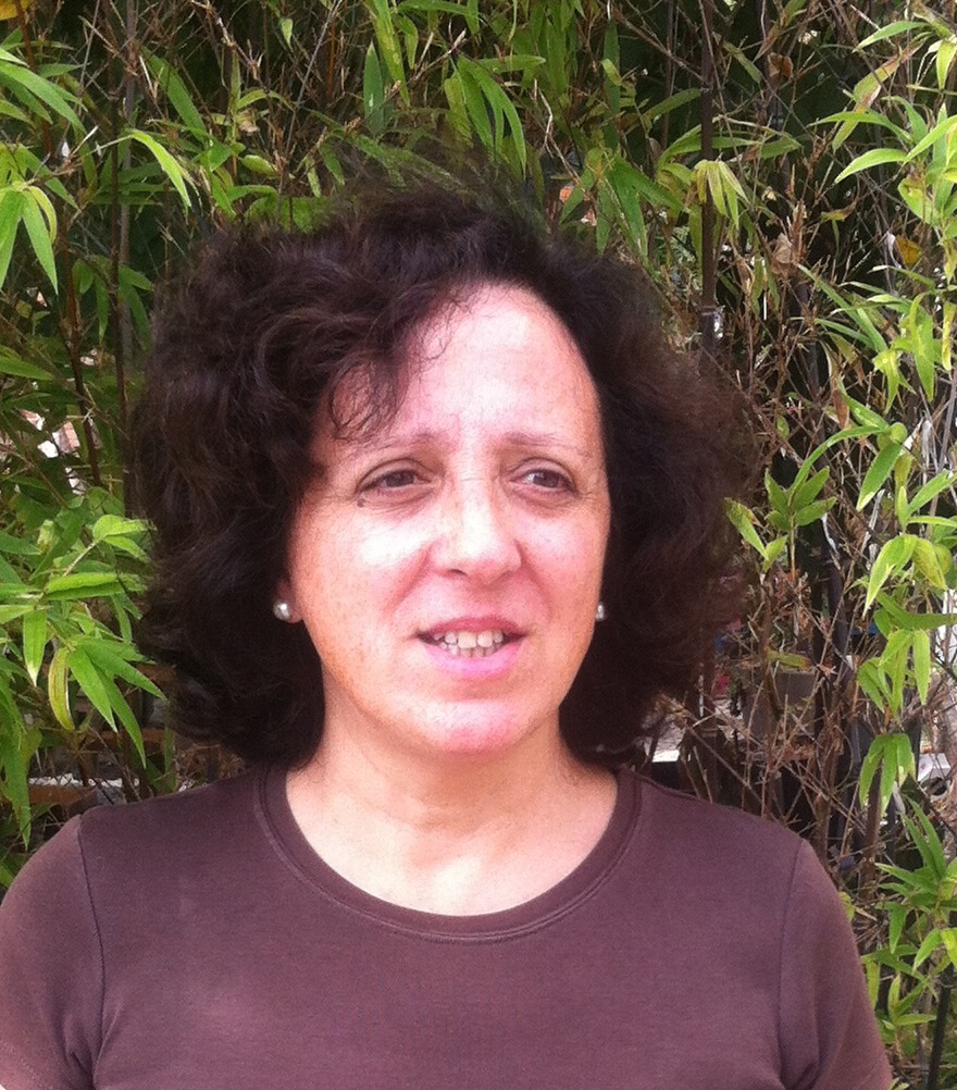 Isabel dos Guimarães Sá