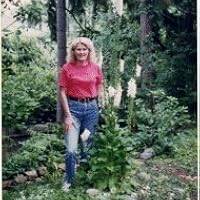 Ann Herrick