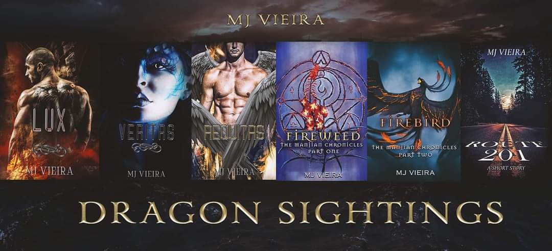 M.J. Vieira