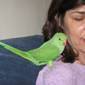 Linda Levitt