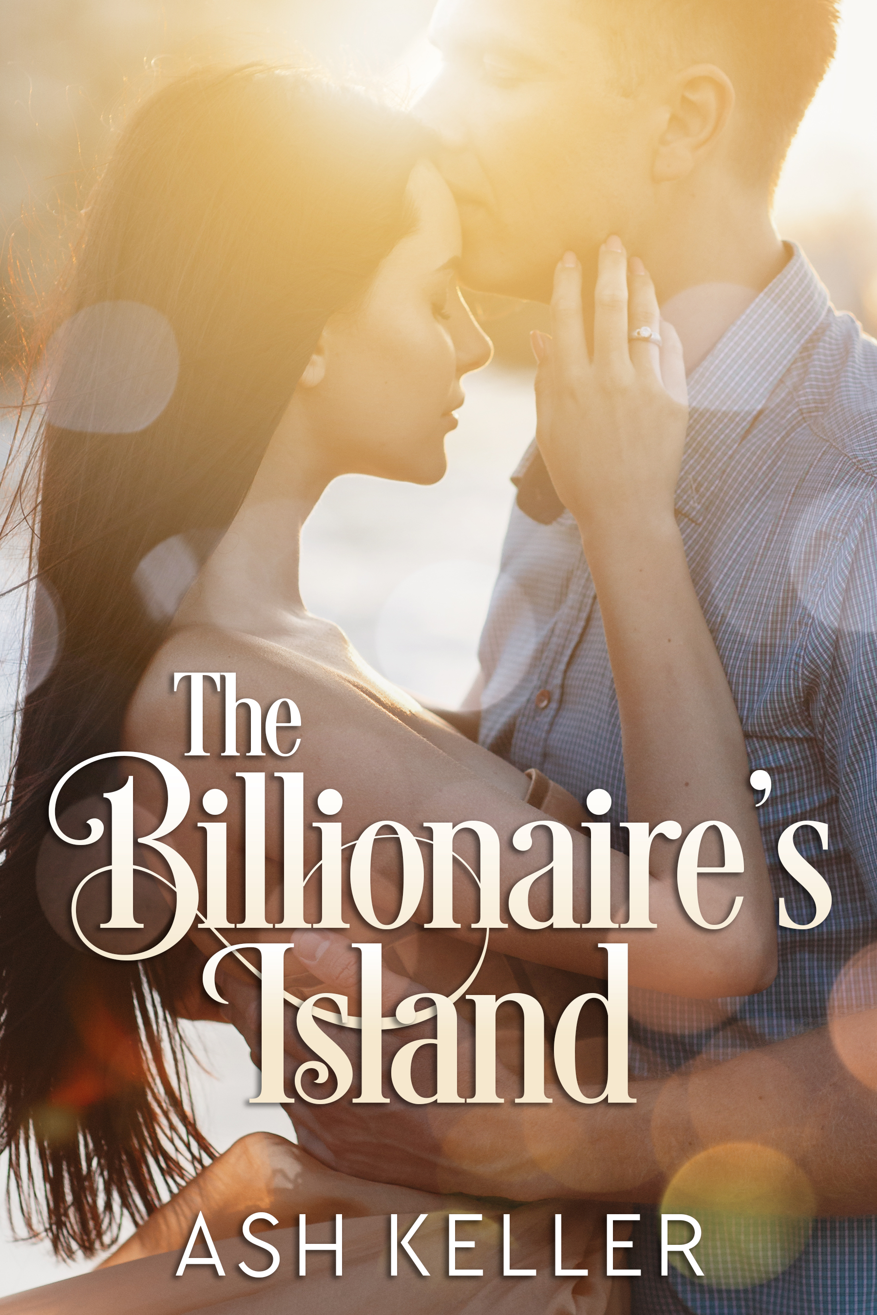 The Billionaire's Island book cover