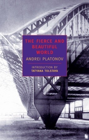 The Fierce and Beautiful World book cover