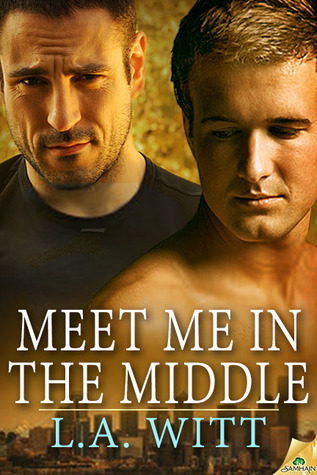 The Distance Between Us book cover 3