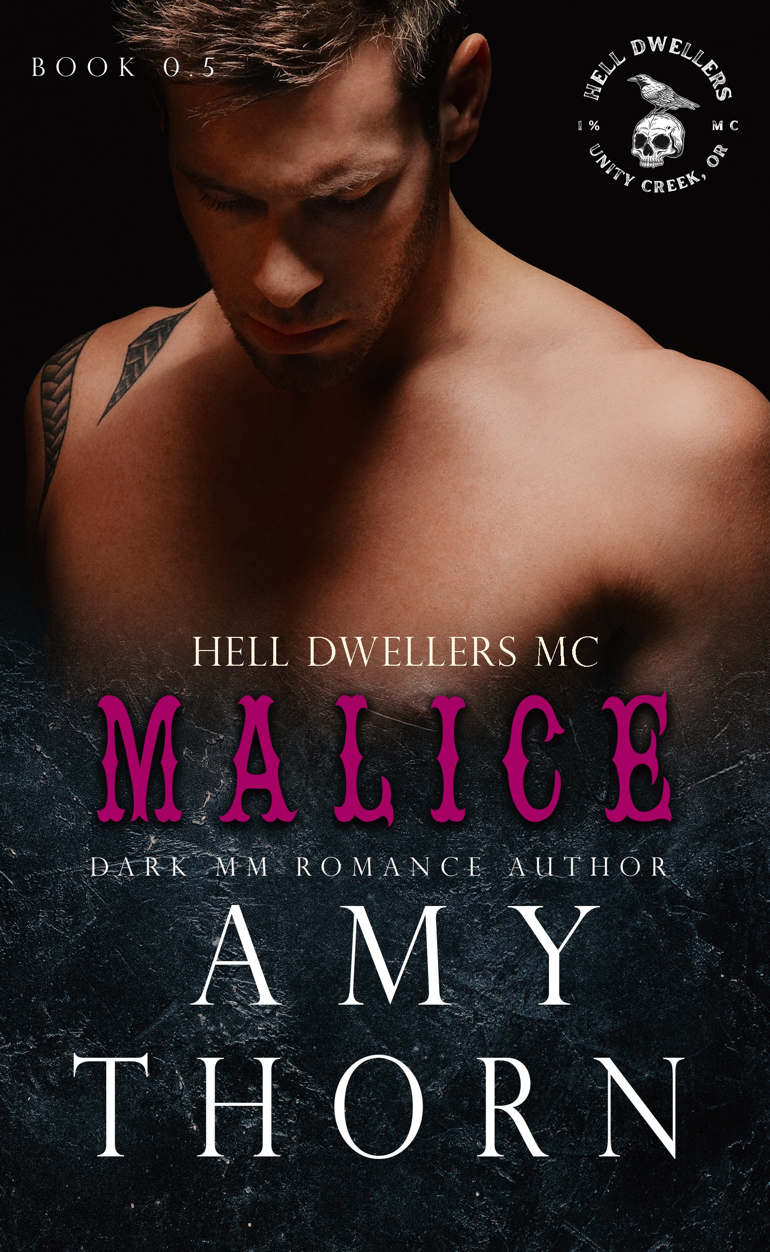 Malice book cover
