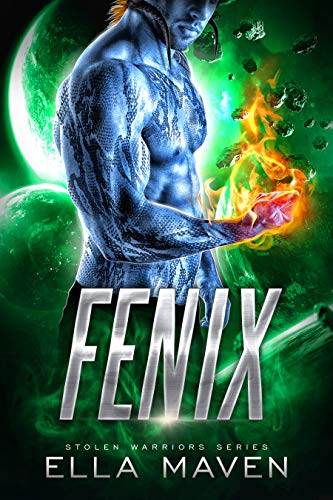 Stolen Warriors book cover 3