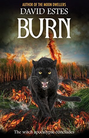 Salem's Revenge book cover 3