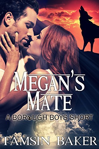 Megan's Mate book cover