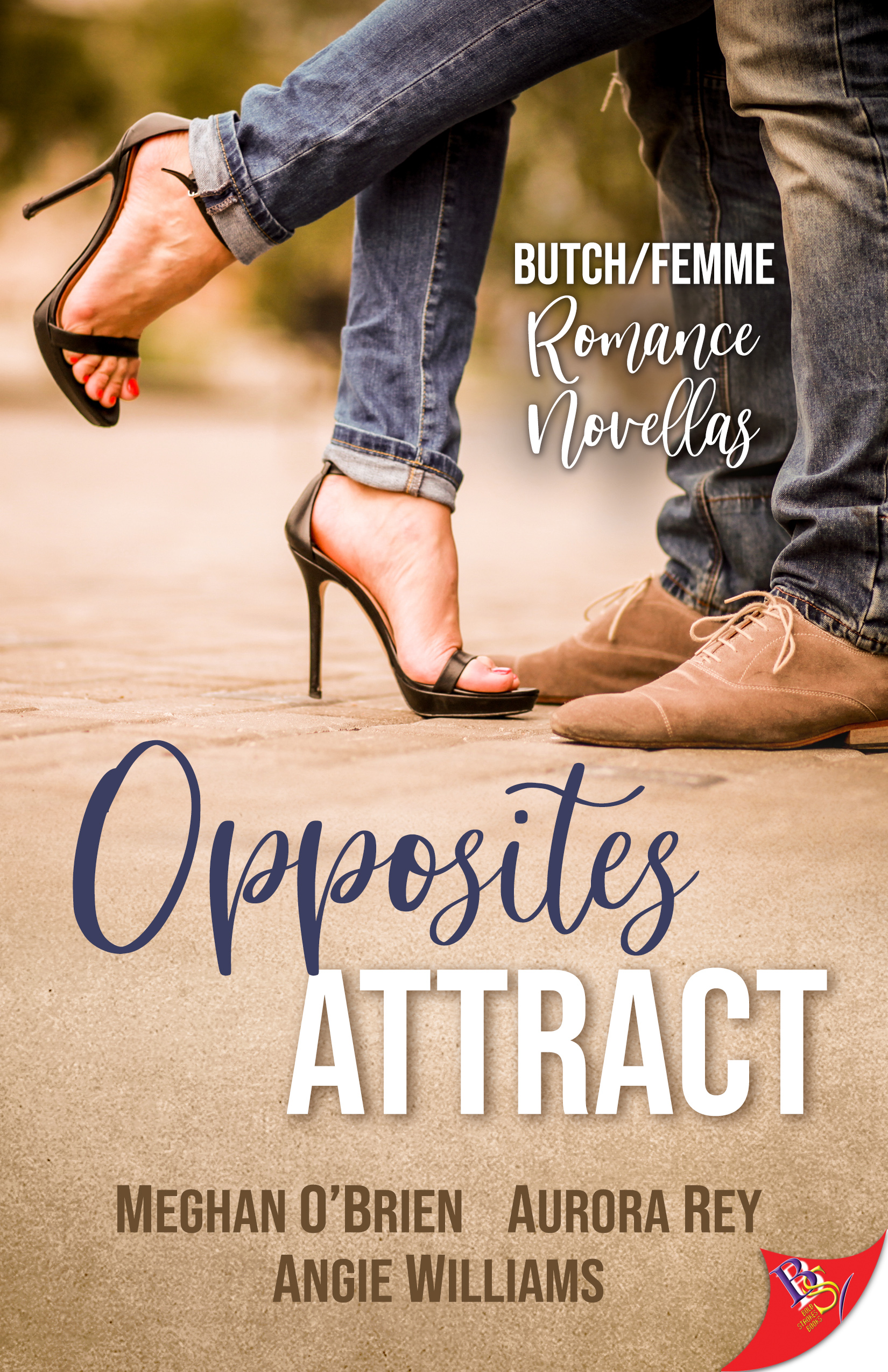 Opposites Attract book cover