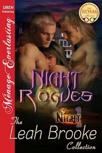 Night Rogues book cover
