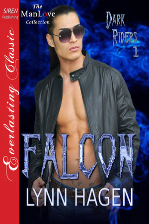 Dark Riders book cover 1