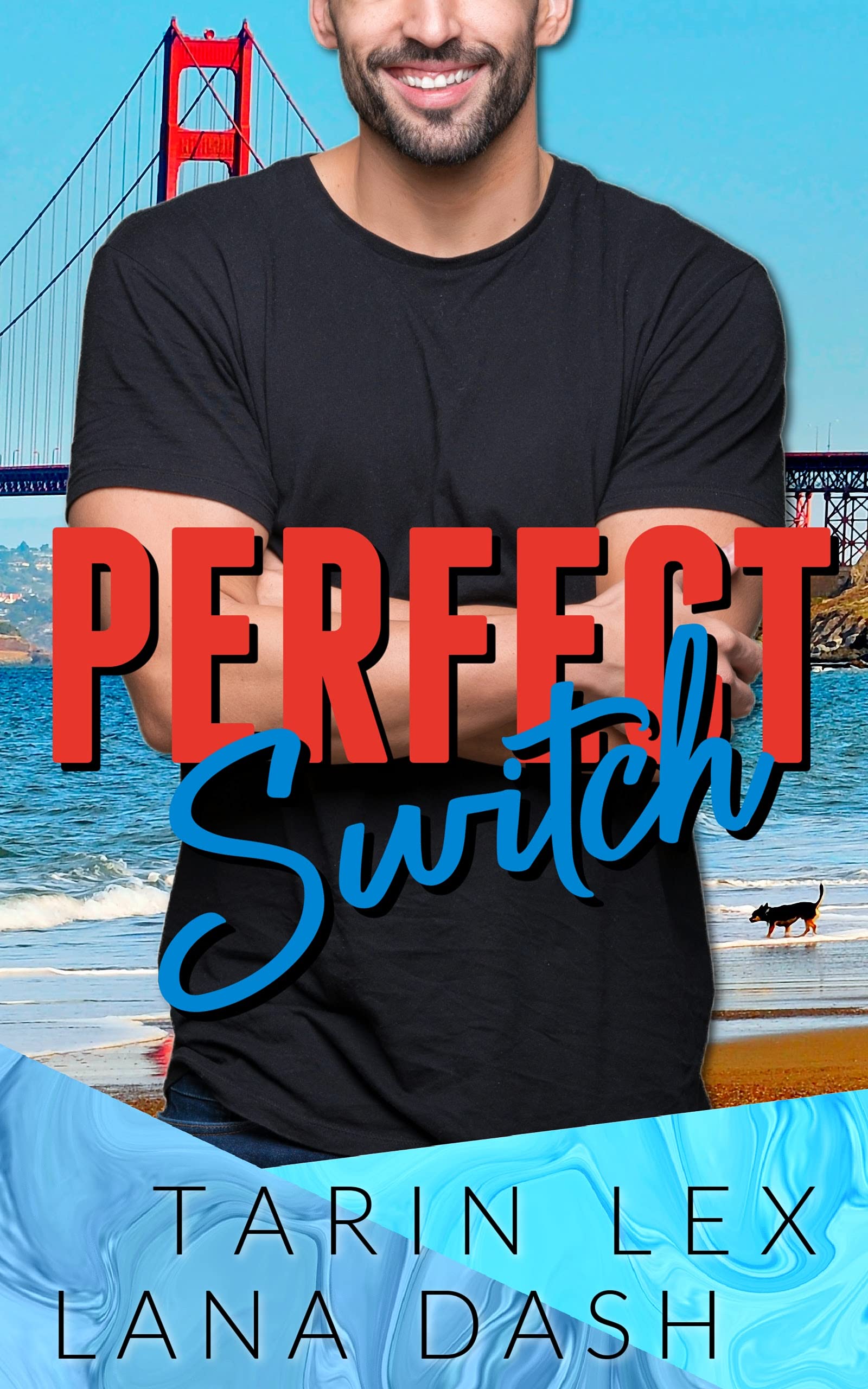 The Switch book cover 3