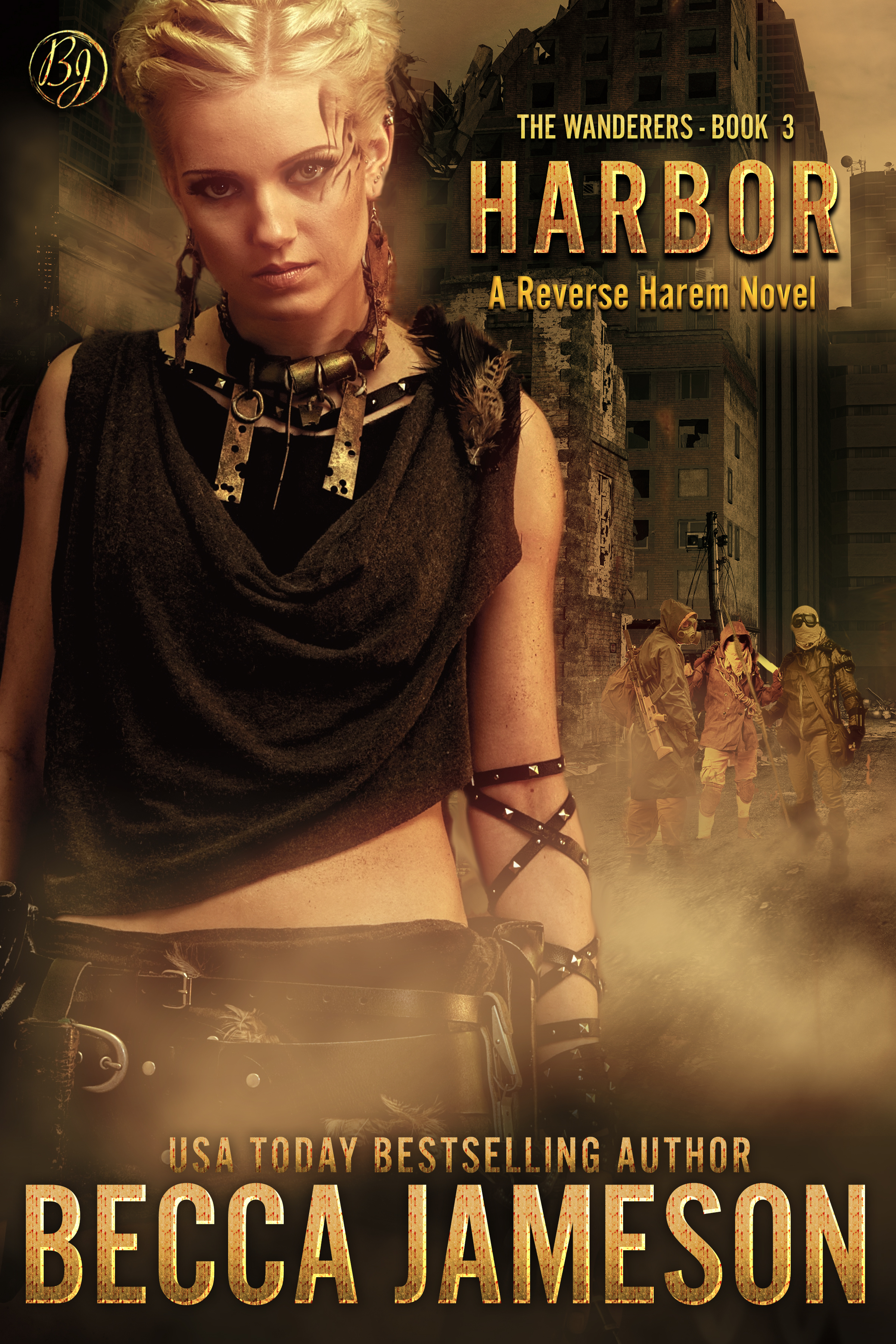 The Wanderers book cover 3