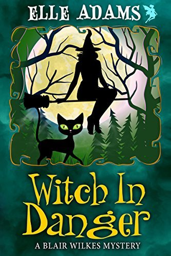 Blair Wilkes Mystery book cover 3
