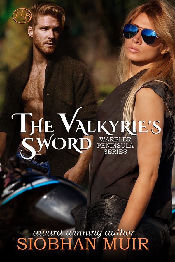 The Valkyrie's Sword book cover