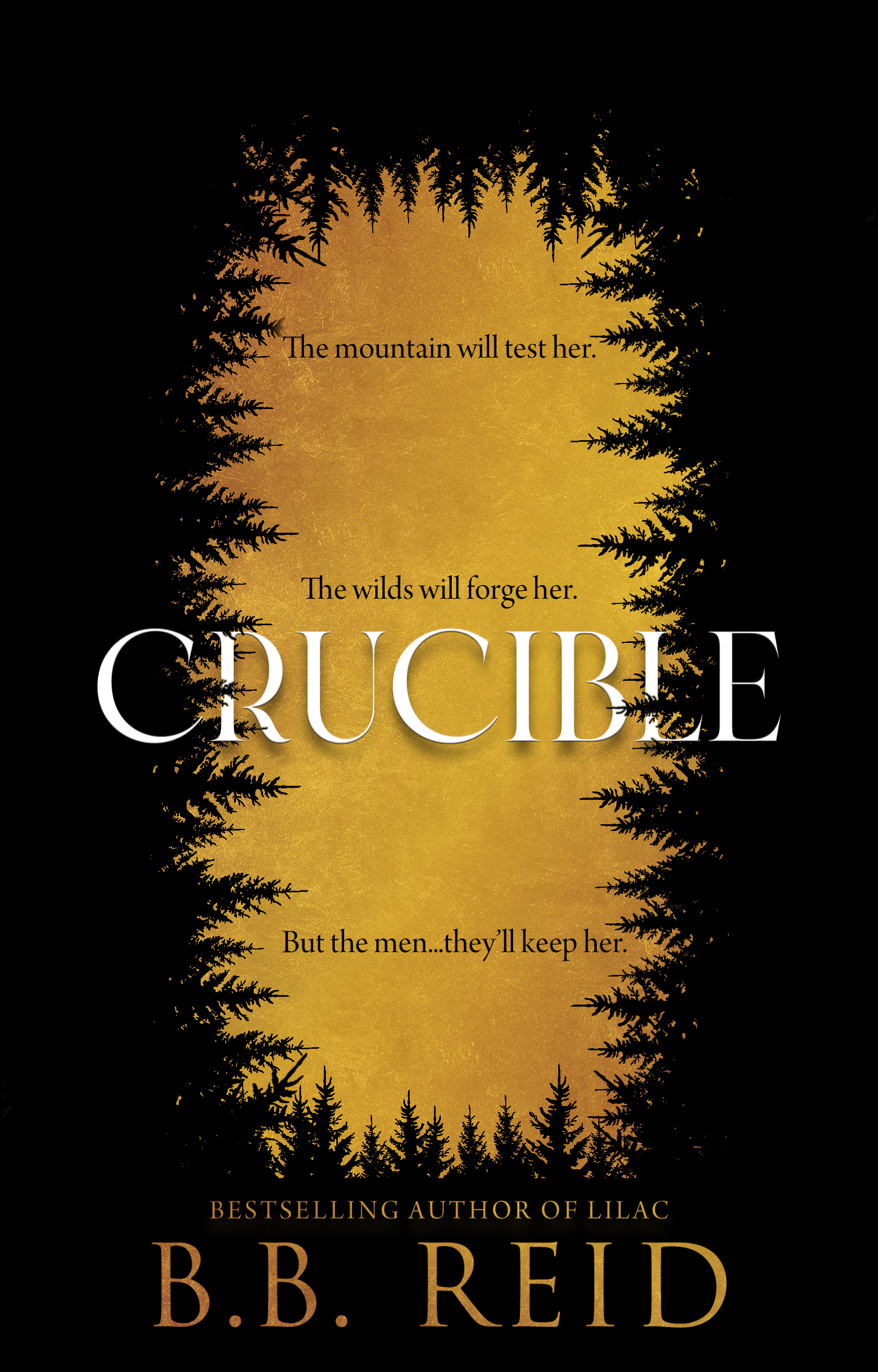 Crucible book cover
