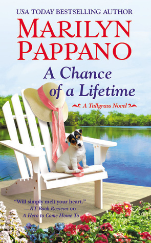 A Chance of a Lifetime book cover