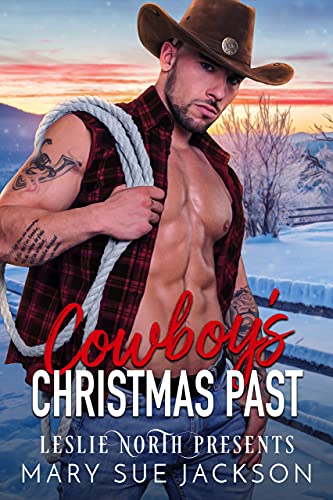 Cowboy's Christmas Past book cover