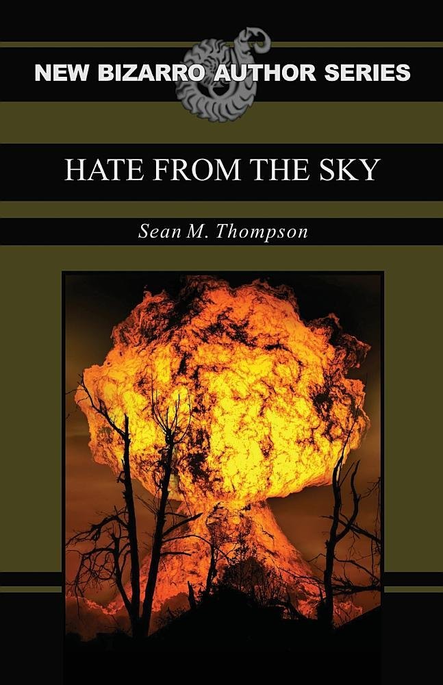 Hate from the Sky book cover