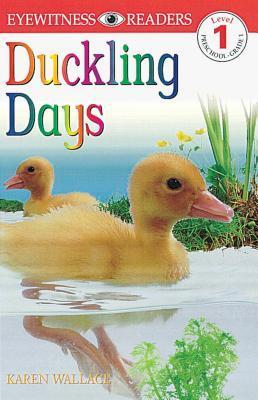 Duckling Days book cover