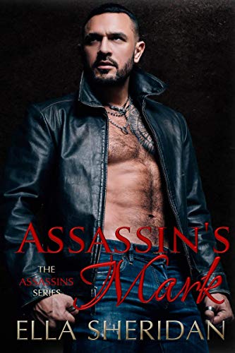 Assassins book cover 1