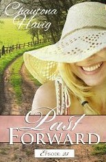 Past Forward-A Serial Novel book cover