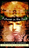 Pictures in the Dark book cover