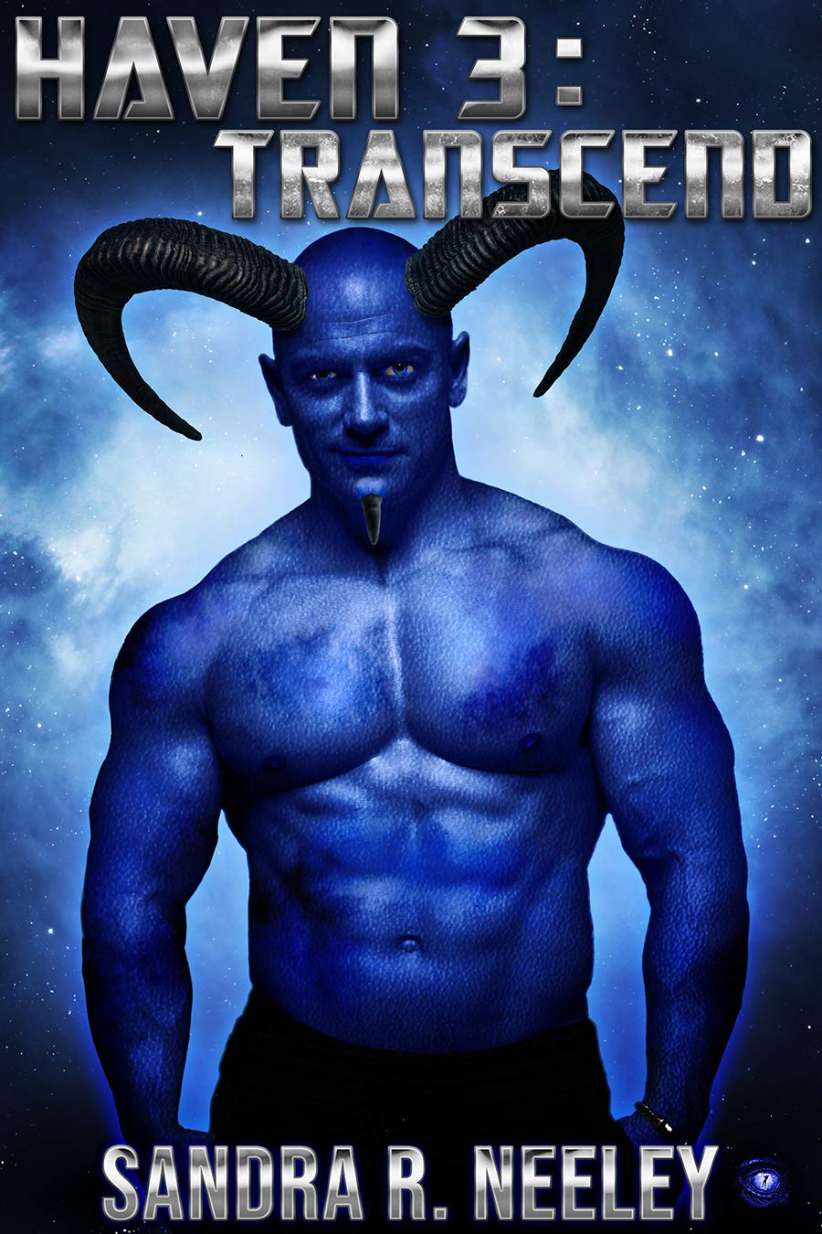 Haven book cover 3