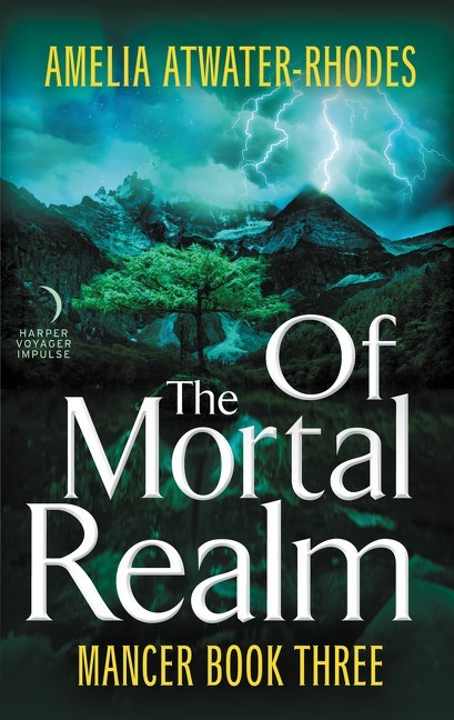 Mancer book cover 3