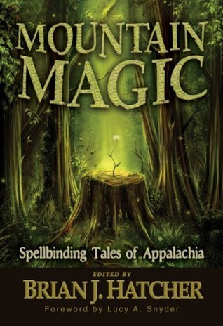 Mountain Magic book cover