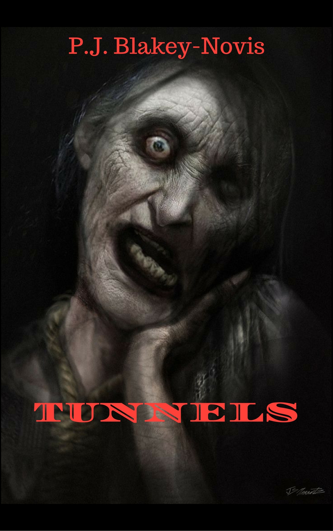 Tunnels book cover