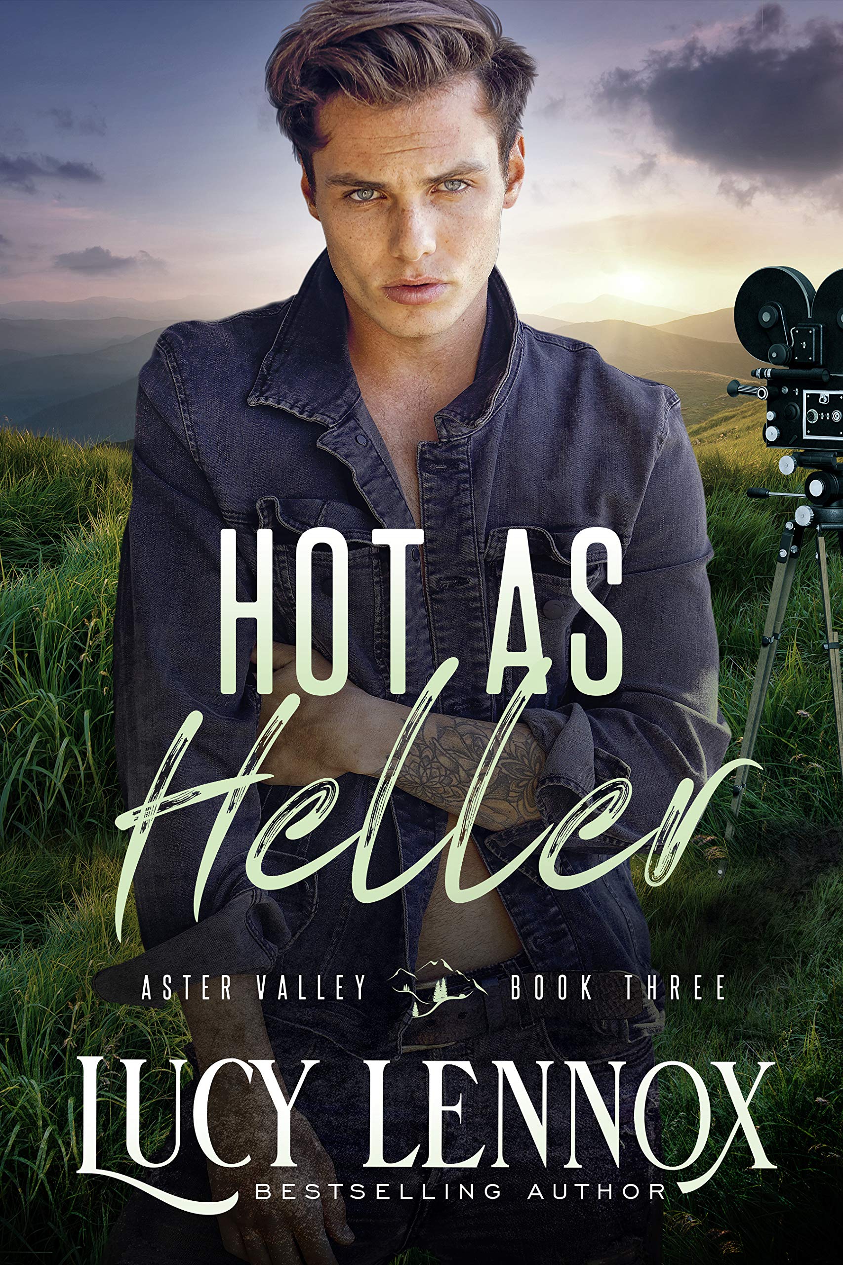 Aster Valley book cover 3