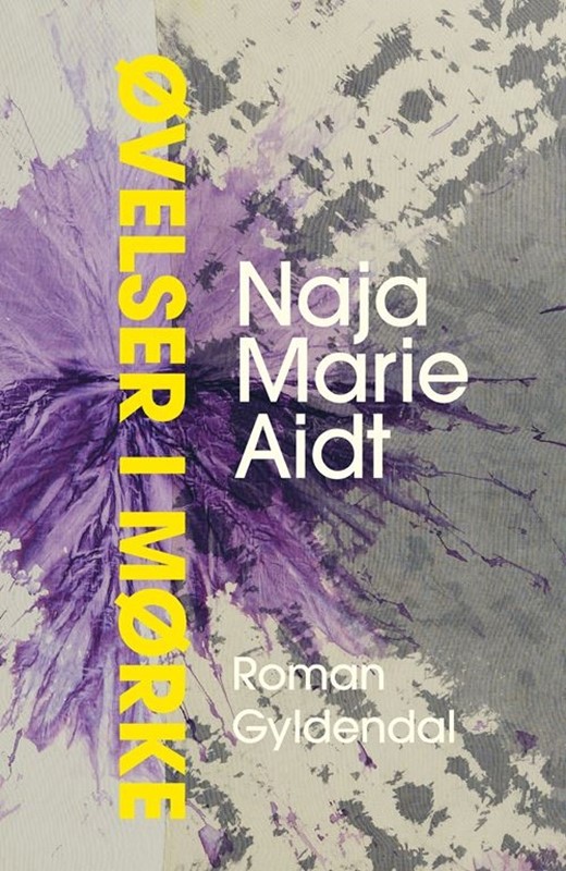 Øvelser i mørke book cover