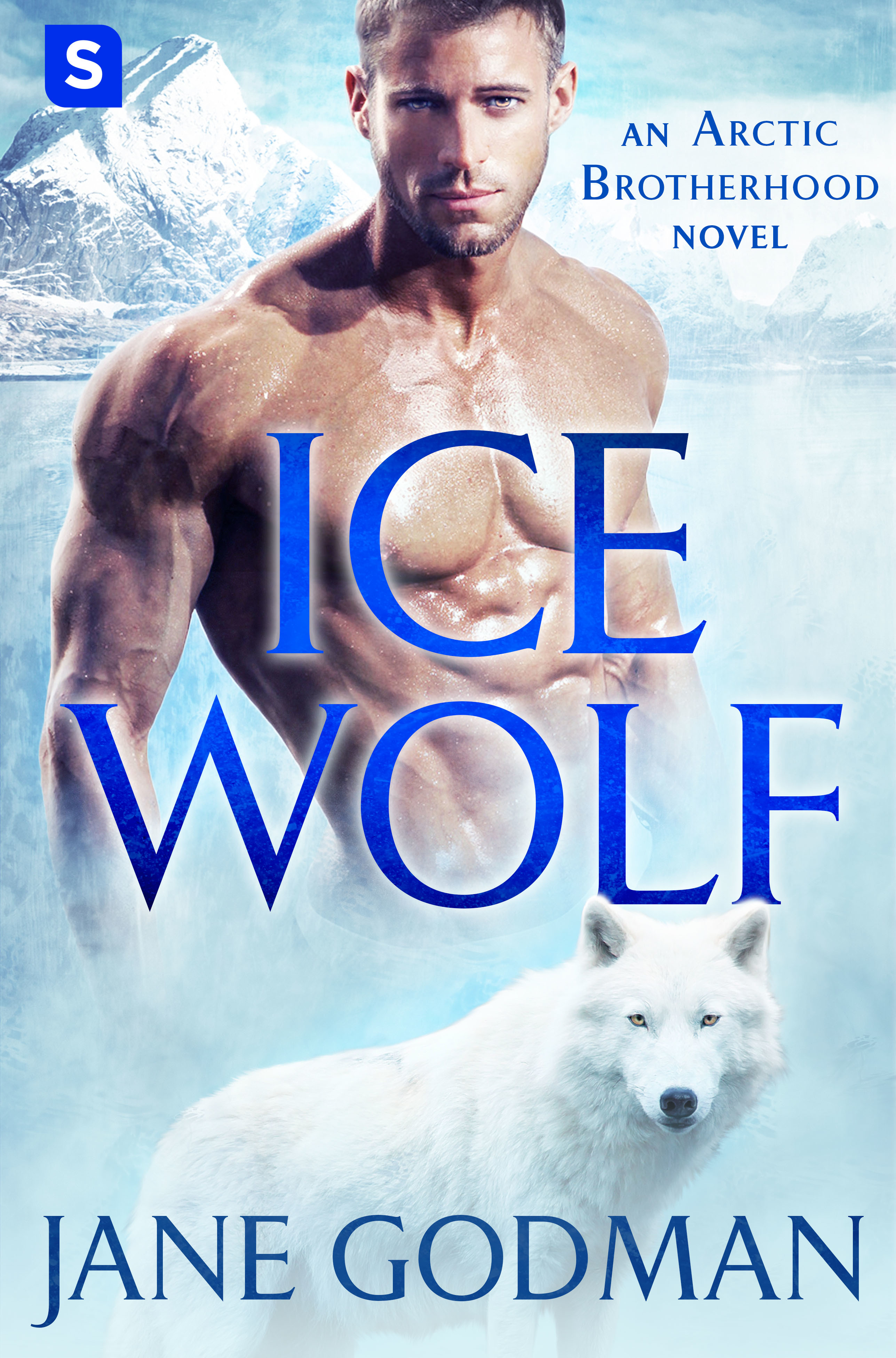 Arctic Brotherhood book cover 1