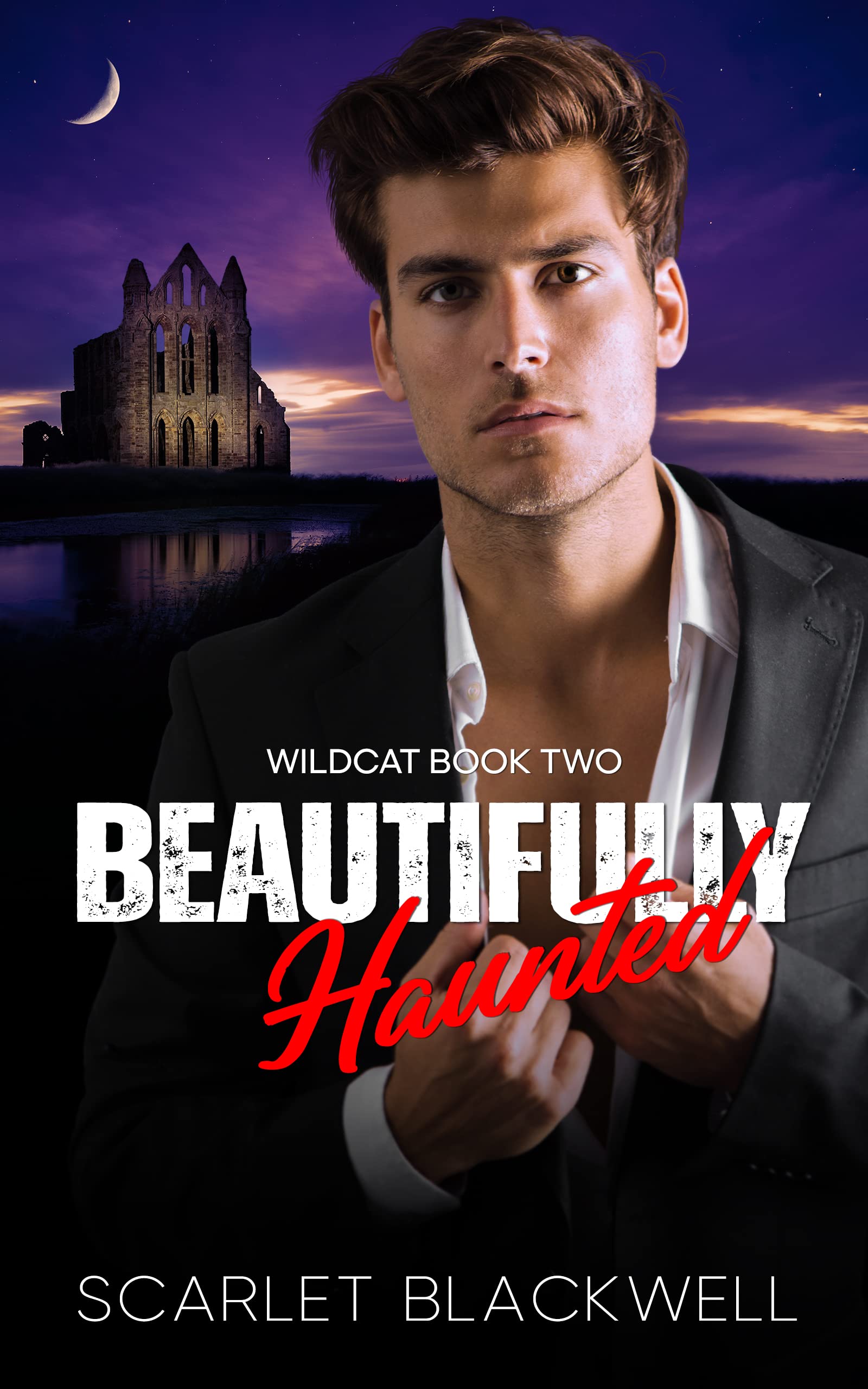 Wildcat book cover 2