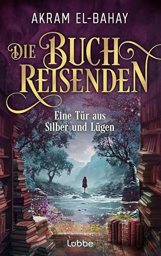 Eine Tür aus Silber und Lügen book cover