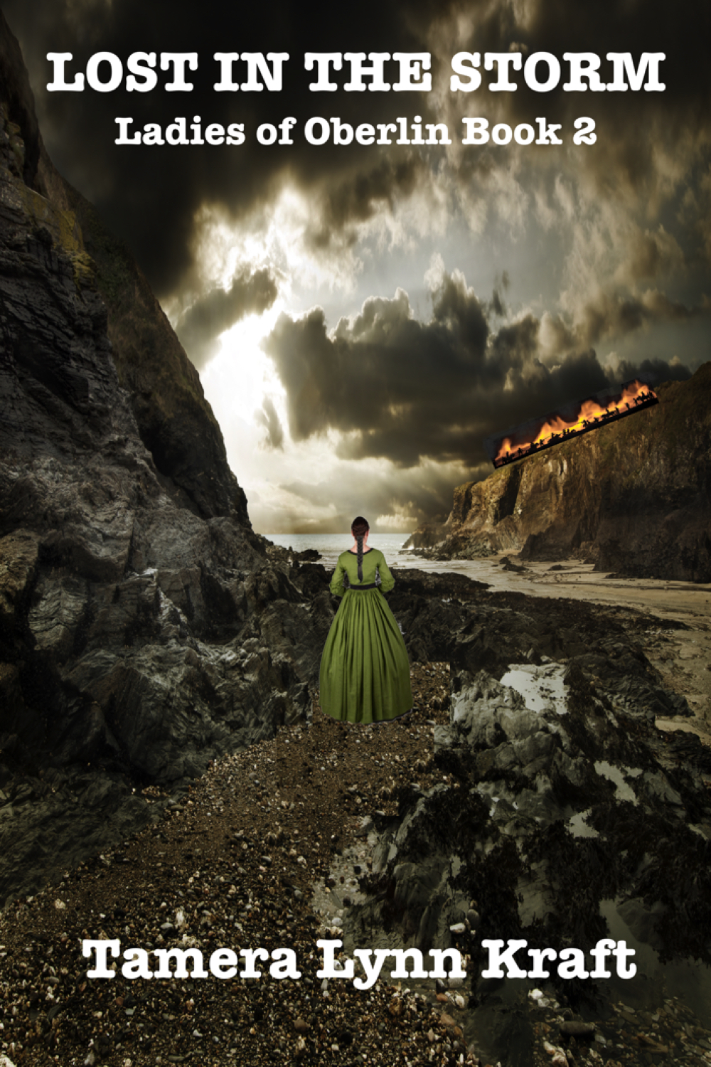 Ladies of Oberlin book cover 2