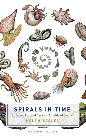 Spirals in Time book cover