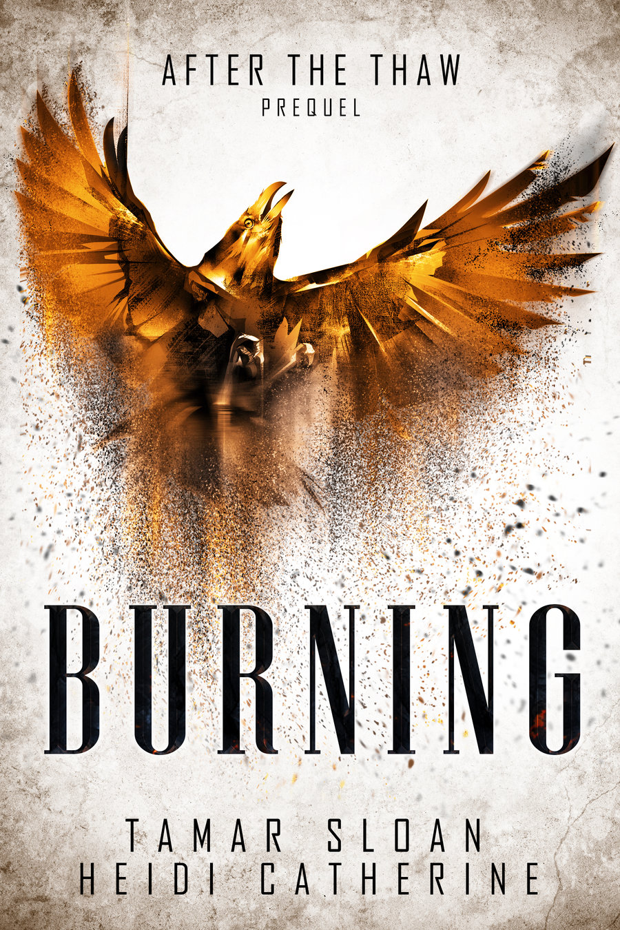 Burning book cover