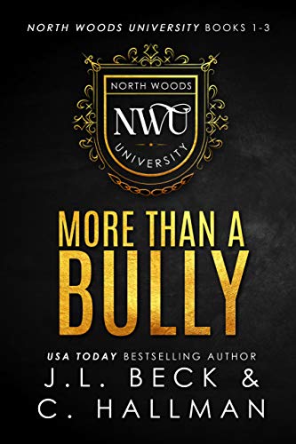 More Than A Bully book cover