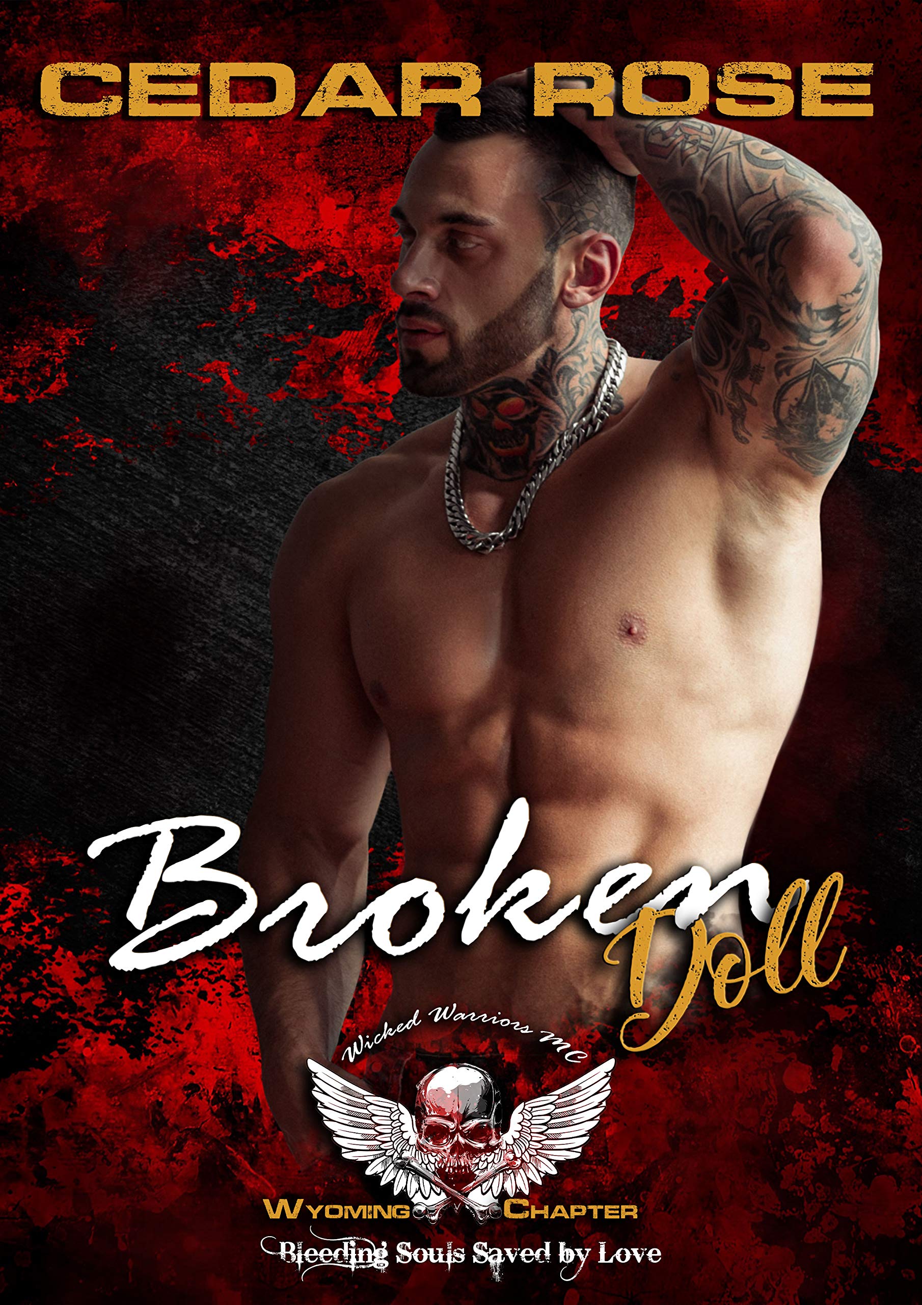 Broken Doll book cover