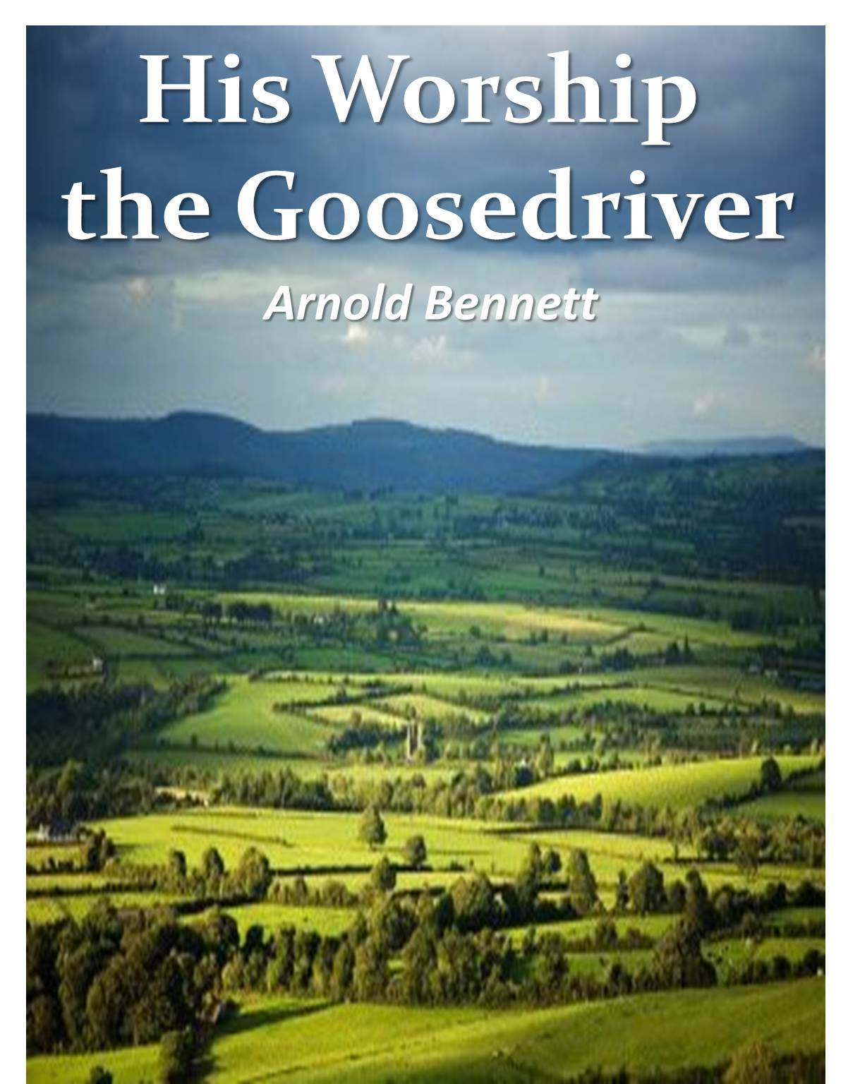 His Worship the Goosedriver book cover