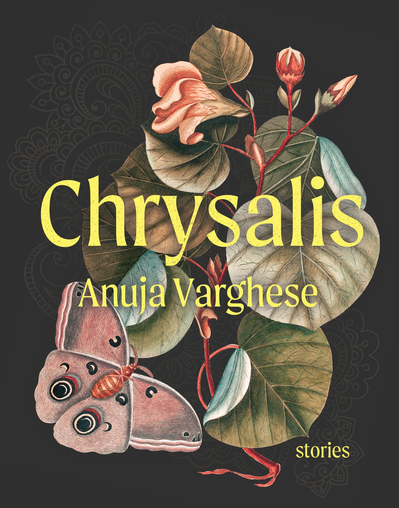 Chrysalis book cover