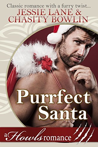 Purrfect Santa book cover