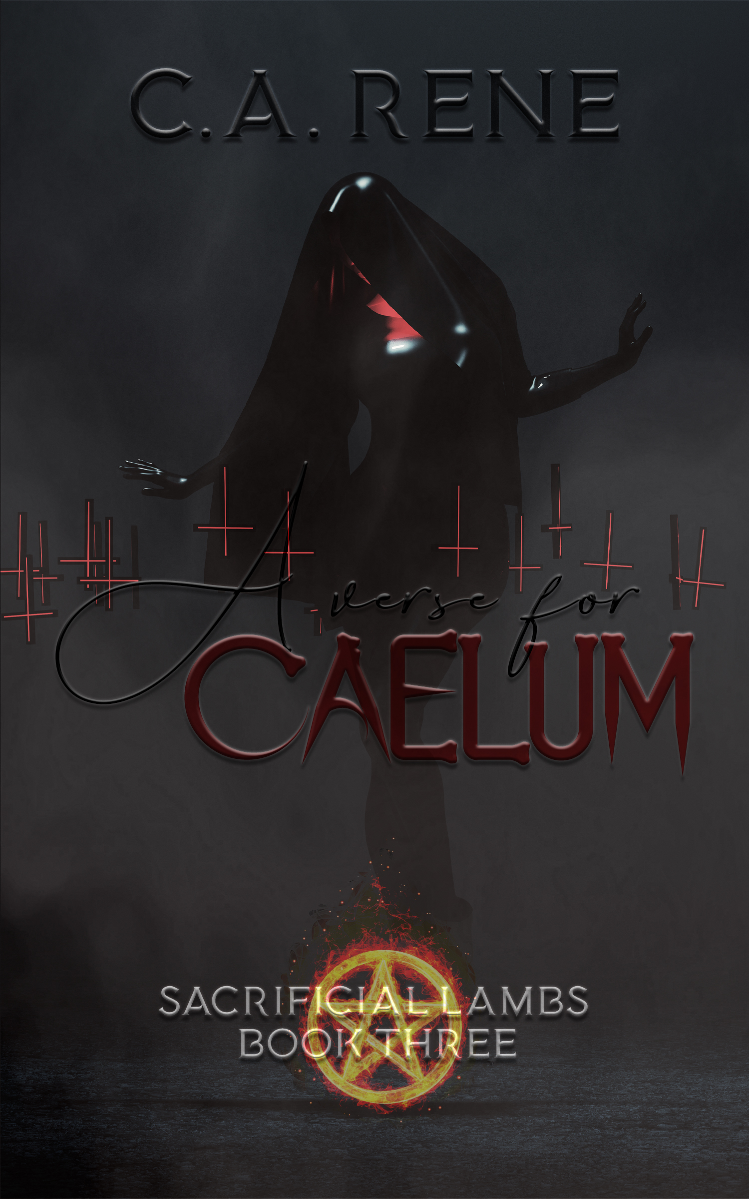 Sacrificial Lambs book cover 3