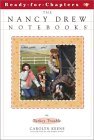 Turkey Trouble book cover