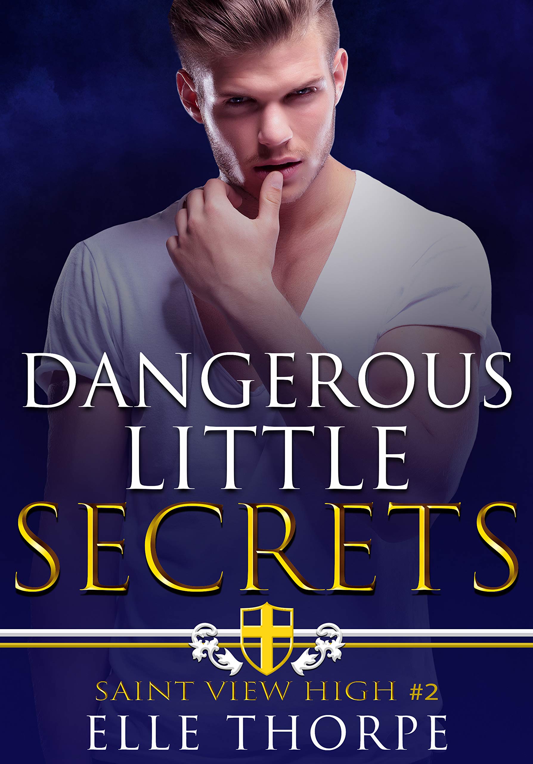 Saint View High book cover 2