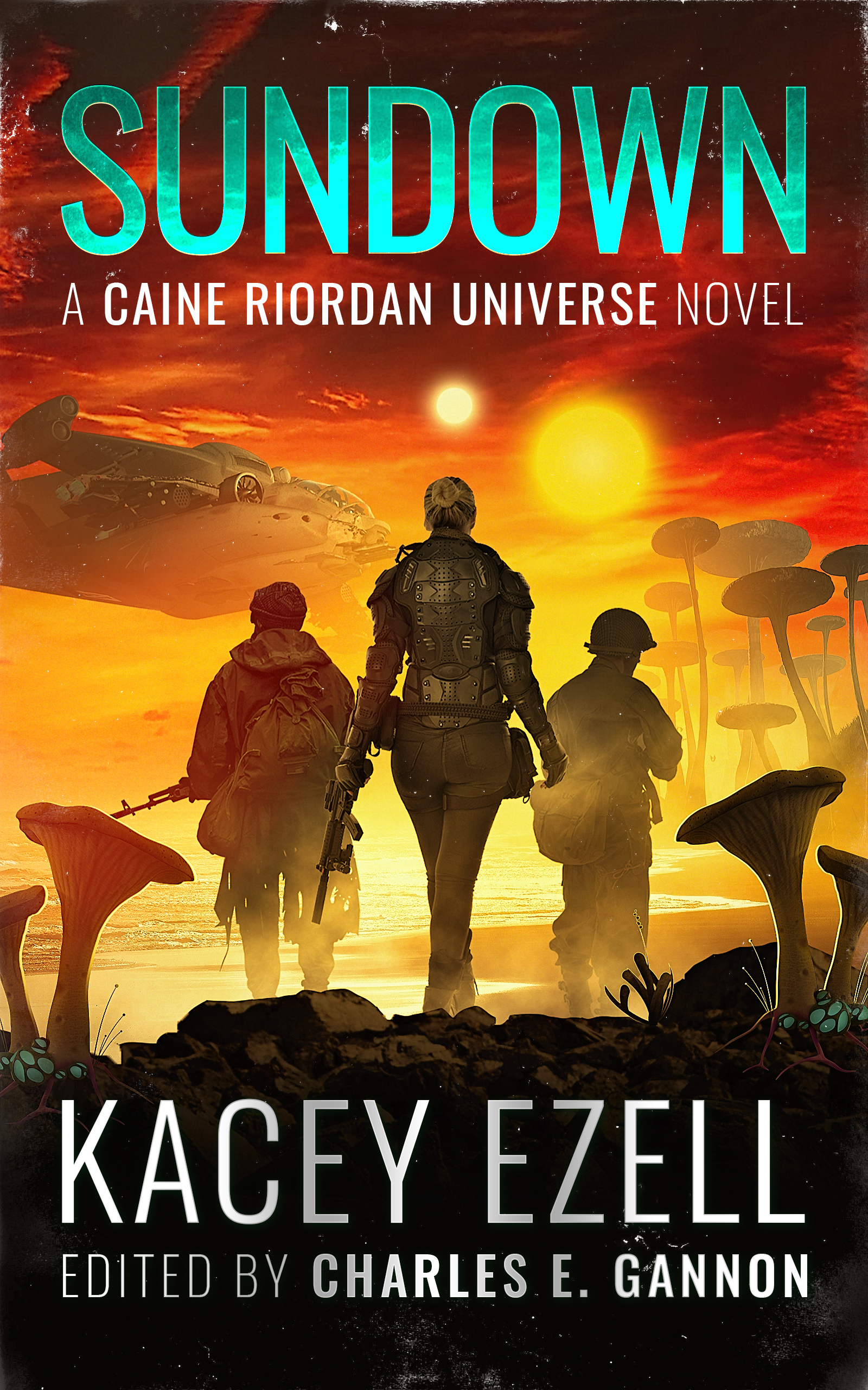 Murphy's Lawless book cover 2