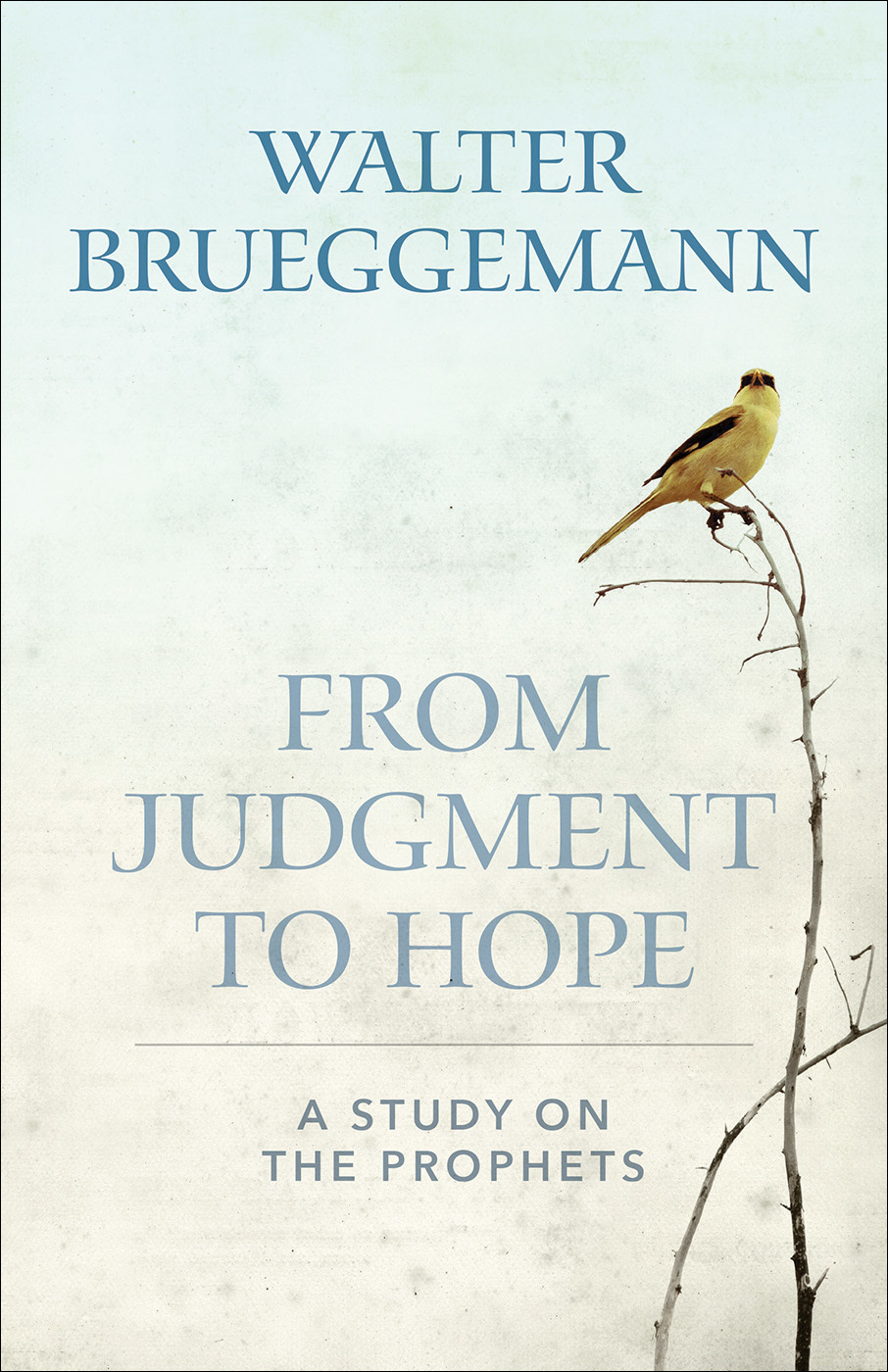 From Judgment to Hope book cover