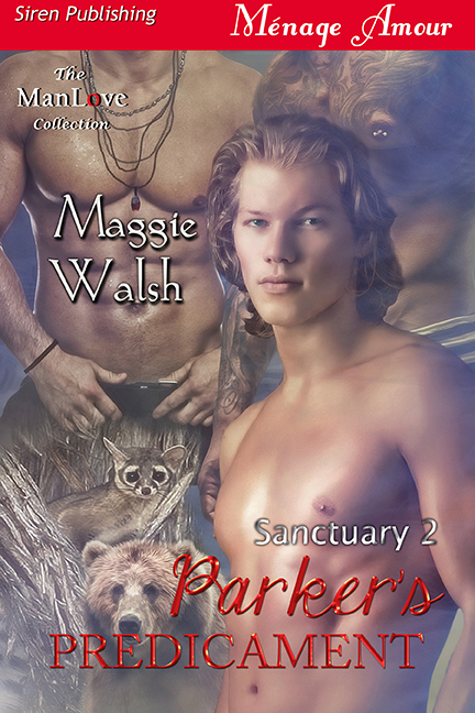 Sanctuary book cover 2